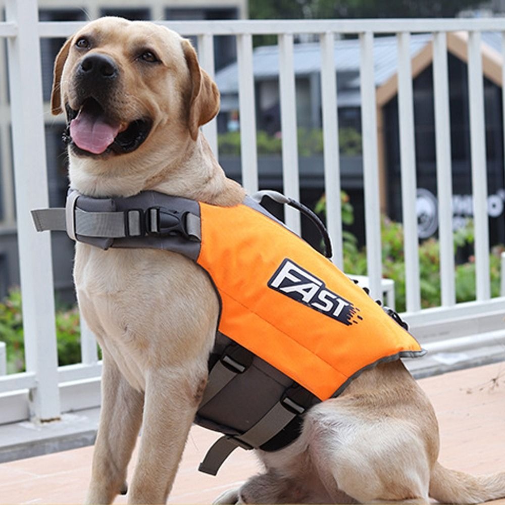 Ayarlanabilir Evcil Hayvan Yüz - Life Jacket Buoyancy incelemesi ve fiyatı