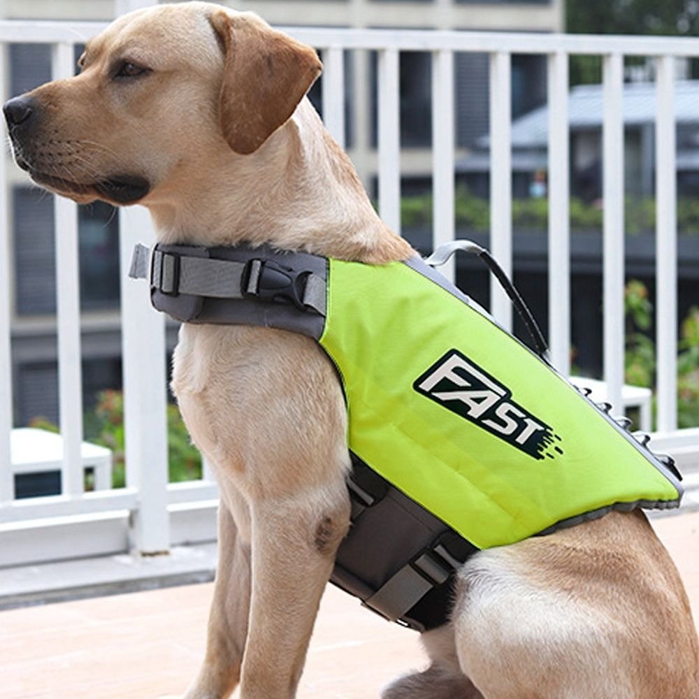 Ayarlanabilir Evcil Hayvan Yüz - Life Jacket Buoyancy incelemesi ve fiyatı