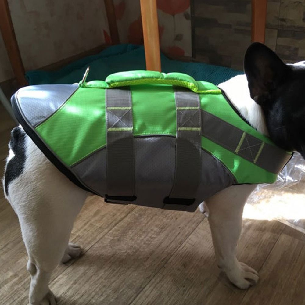 Yansıtıcı Köpek Can Yeleği Nef - Life Jacket Buoyancy incelemesi ve fiyatı