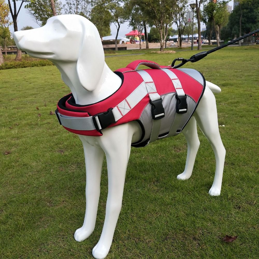 Yansıtıcı Köpek Can Yeleği Aya - Life Jacket Buoyancy incelemesi ve fiyatı