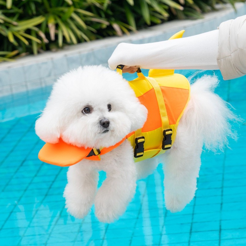 Köpek Can Yeleği Evcil Hayvan  - Life Jacket Buoyancy incelemesi ve fiyatı