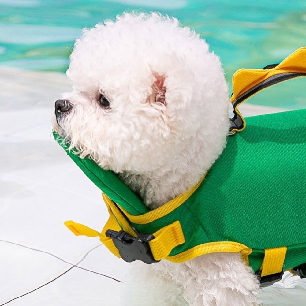 Ayarlanabilir Köpek Can Yeleği - Life Jacket Buoyancy incelemesi ve fiyatı