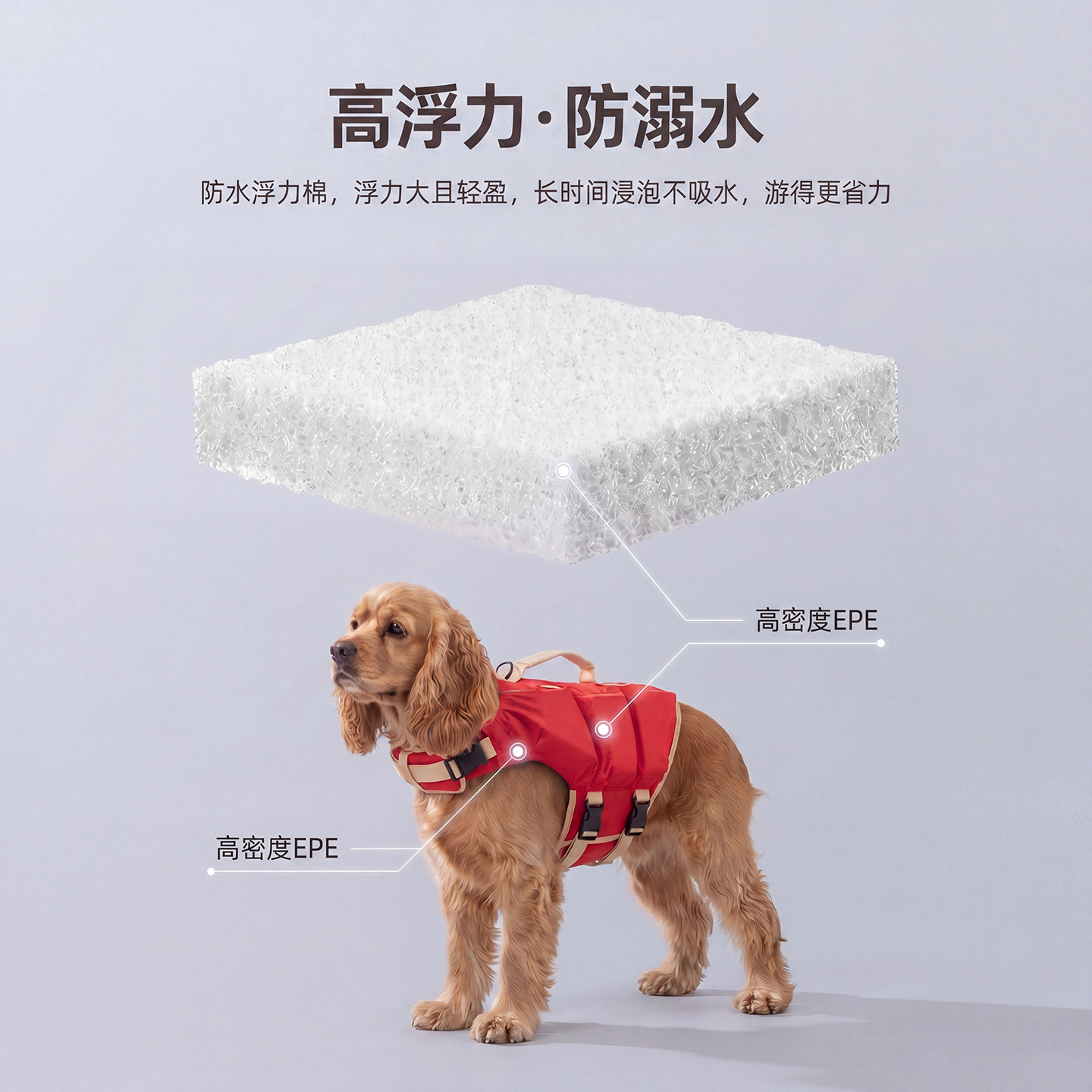 Köpek can yeleği, çizgi film d - Life Jacket Buoyancy incelemesi ve fiyatı